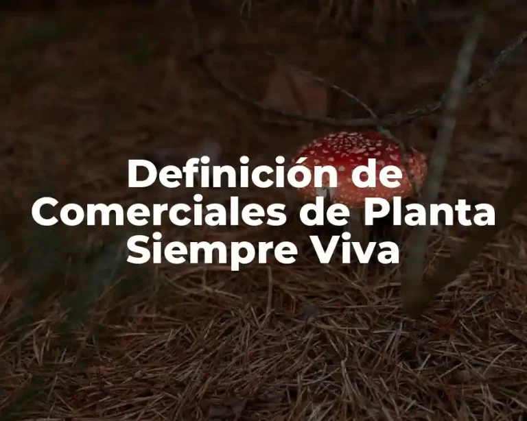 Definición de Comerciales de Planta Siempre Viva