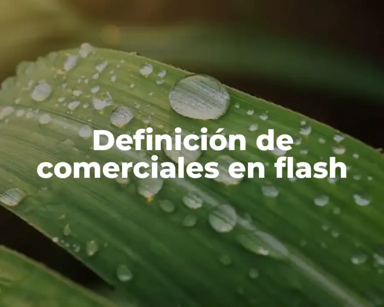 Definición de comerciales en flash