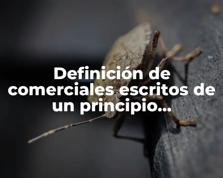 Definición de comerciales escritos de un principio dedagogico