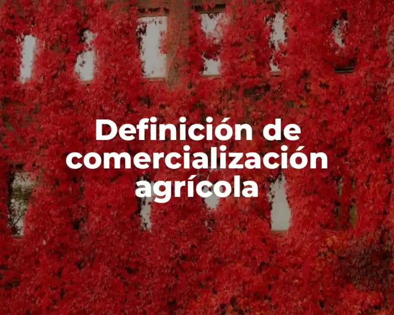 Definición de comercialización agrícola