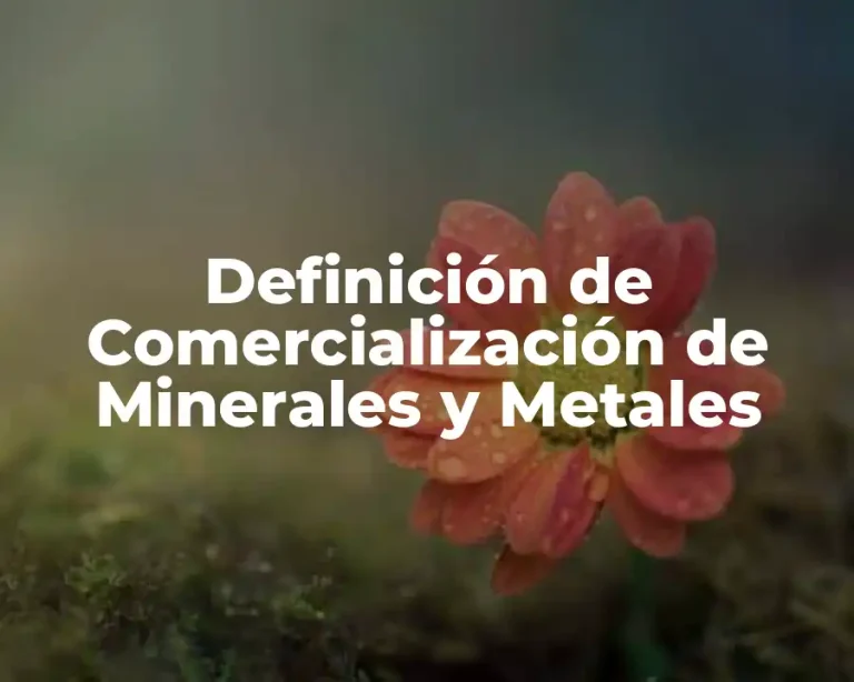 Definición de Comercialización de Minerales y Metales