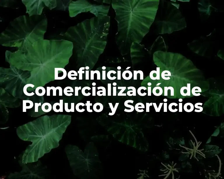Definición de Comercialización de Producto y Servicios