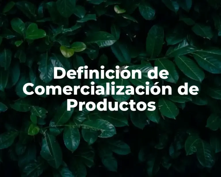 Definición de Comercialización de Productos
