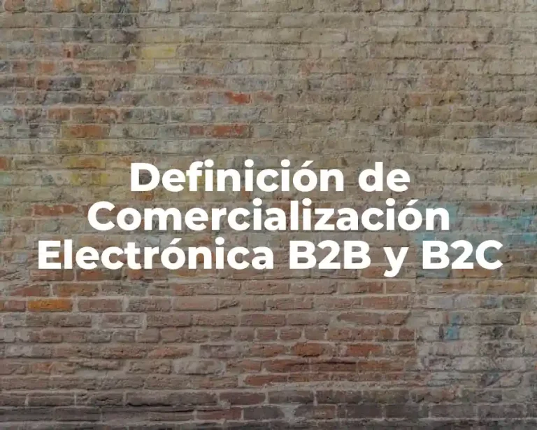 Definición de Comercialización Electrónica B2B y B2C