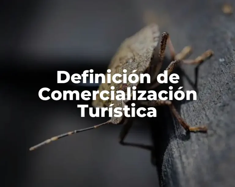 Definición de Comercialización Turística