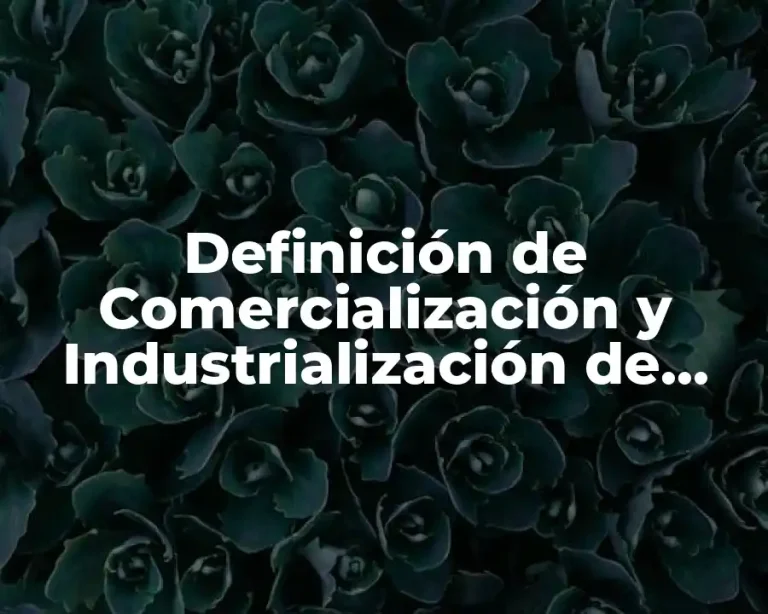 Definición de Comercialización y Industrialización de Frutas