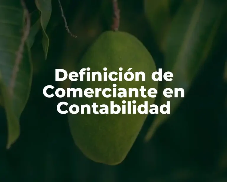 Definición de Comerciante en Contabilidad