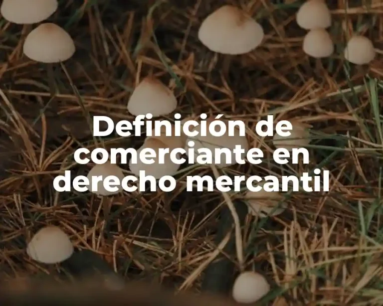 Definición de comerciante en derecho mercantil