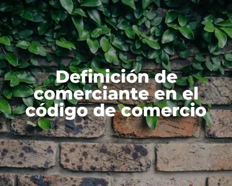Definición de comerciante en el código de comercio
