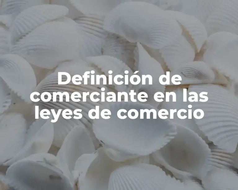 Definición de comerciante en las leyes de comercio