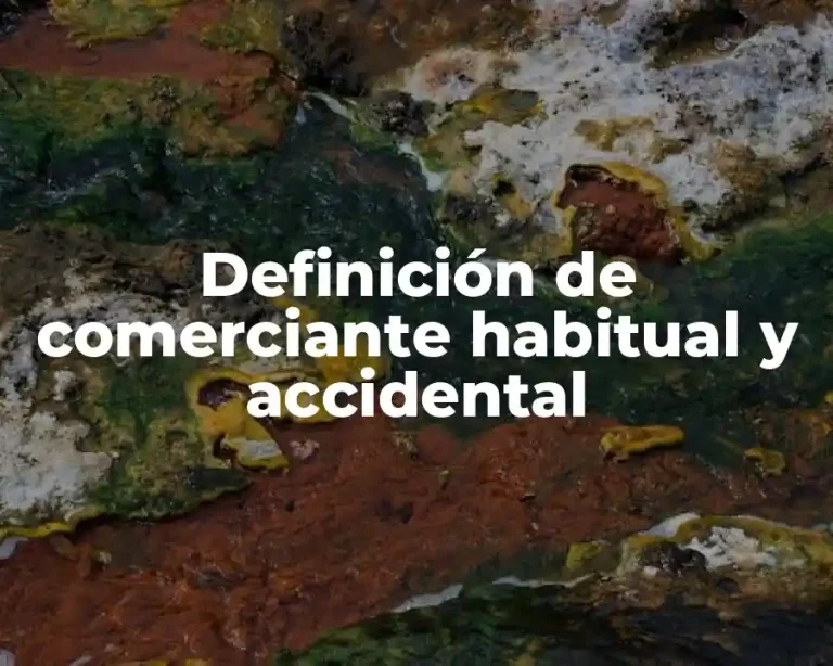 Definición de comerciante habitual y accidental