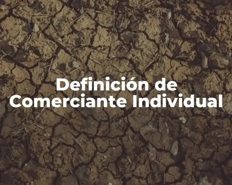 Definición de Comerciante Individual