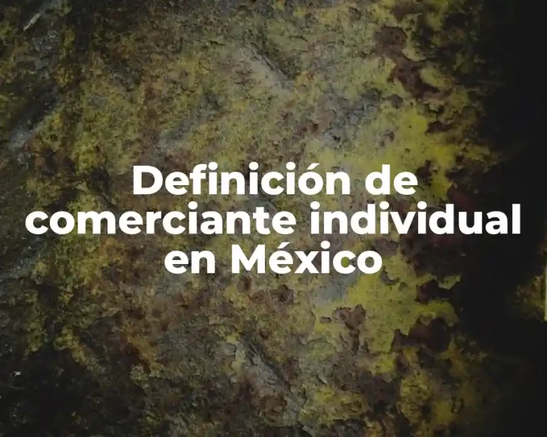 Definición de comerciante individual en México