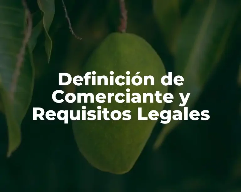 Definición de Comerciante y Requisitos Legales