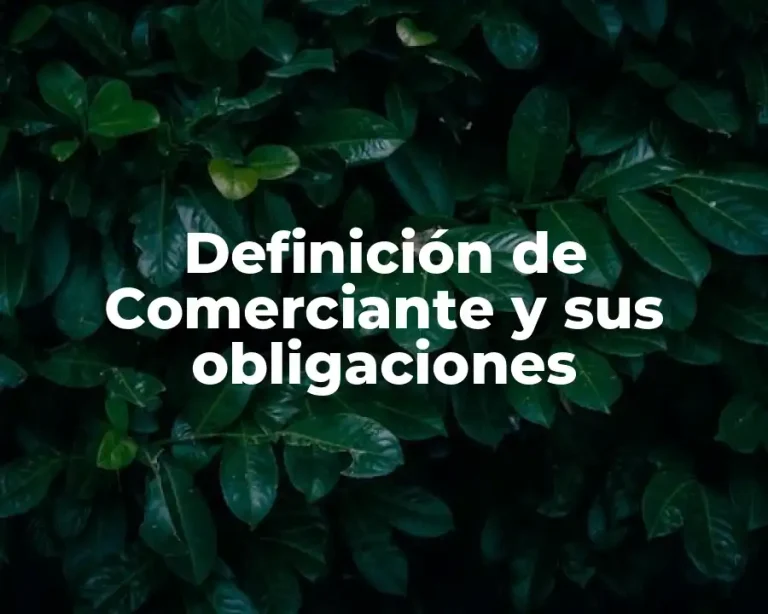 Definición de Comerciante y sus obligaciones