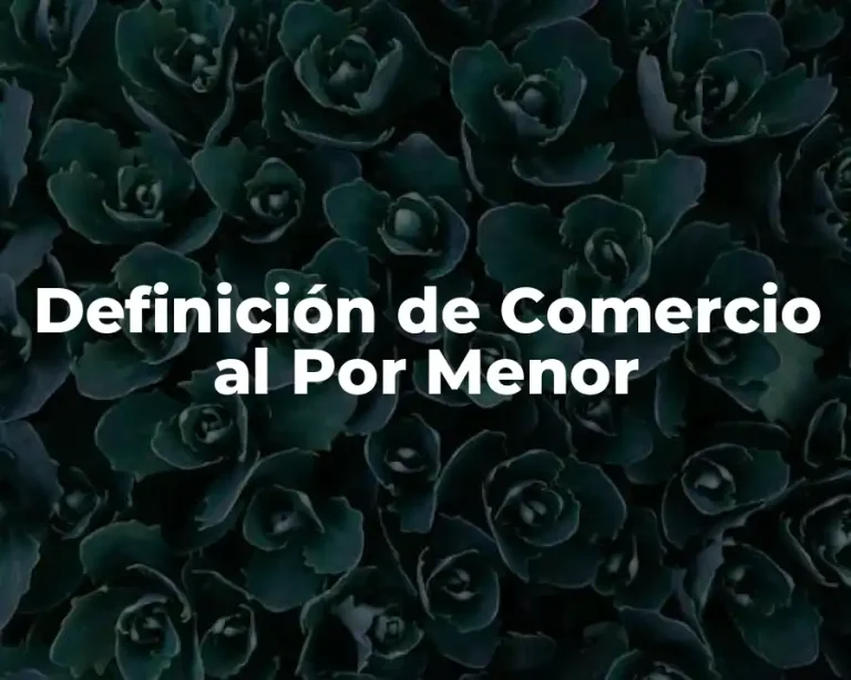 Definición de Comercio al Por Menor