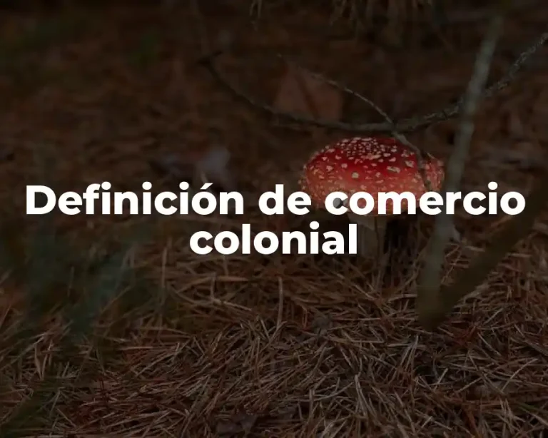 Definición de comercio colonial