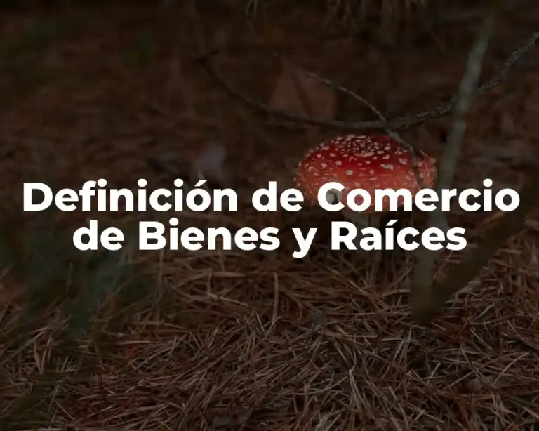 Definición de Comercio de Bienes y Raíces