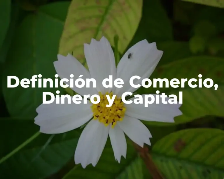 Definición de Comercio, Dinero y Capital