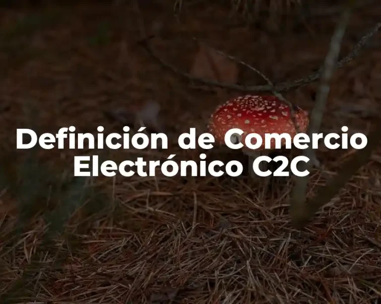 Definición de Comercio Electrónico C2C