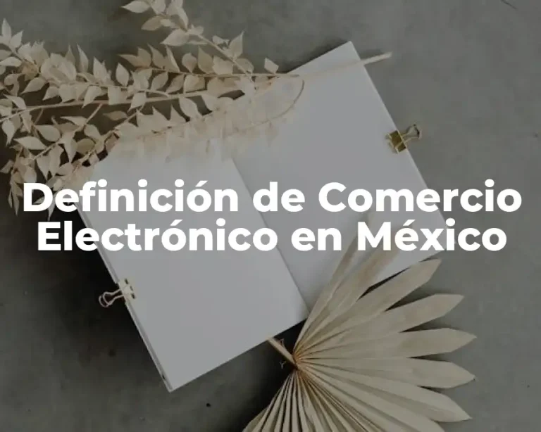 Definición de Comercio Electrónico en México