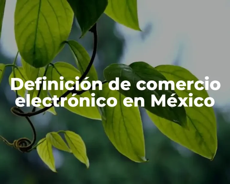 Definición de comercio electrónico en México