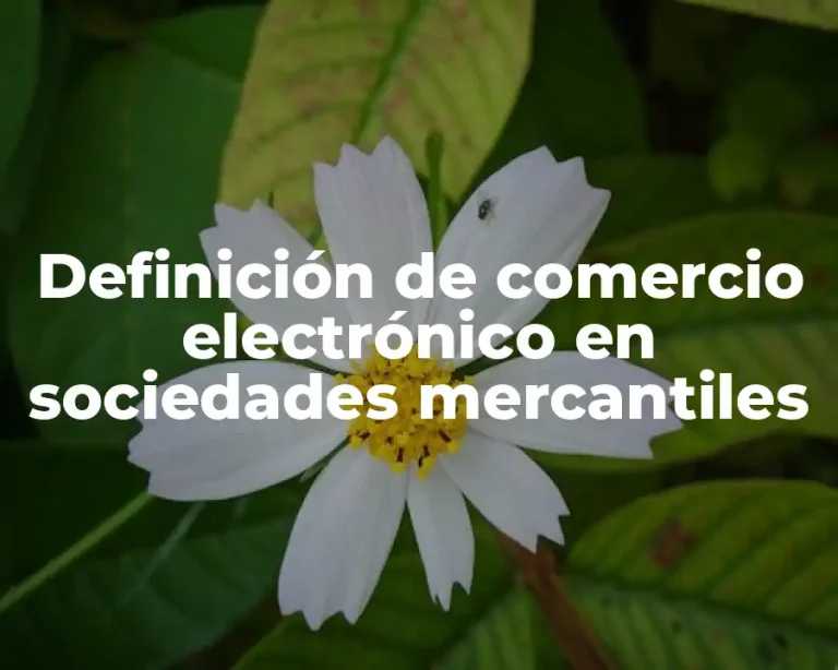 Definición de comercio electrónico en sociedades mercantiles
