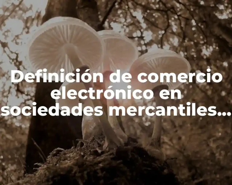 Definición de comercio electrónico en sociedades mercantiles en México