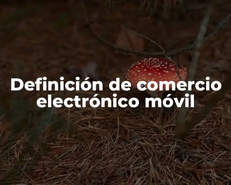 Definición de comercio electrónico móvil