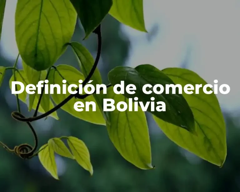 Definición de comercio en Bolivia