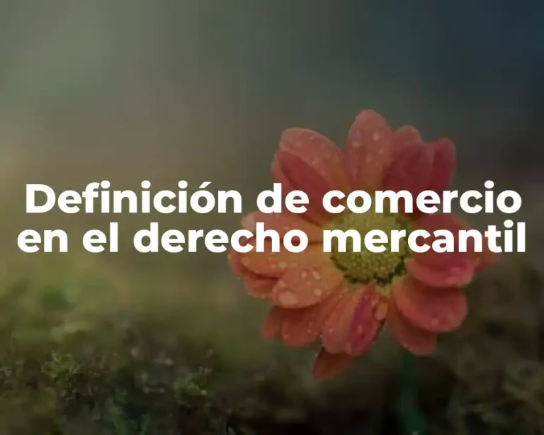 Definición de comercio en el derecho mercantil