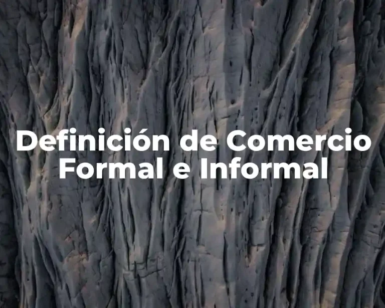 Definición de Comercio Formal e Informal