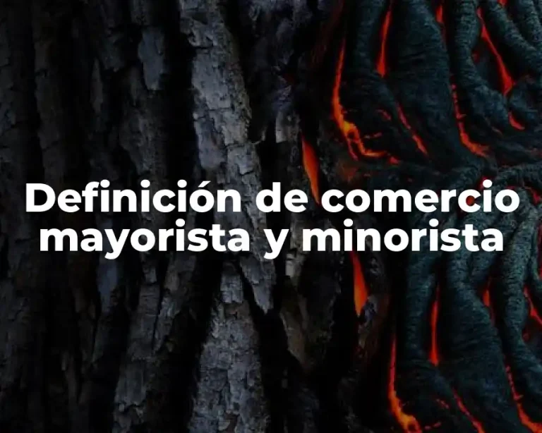 Definición de comercio mayorista y minorista
