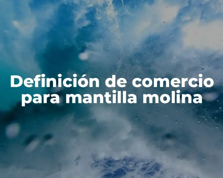Definición de comercio para mantilla molina