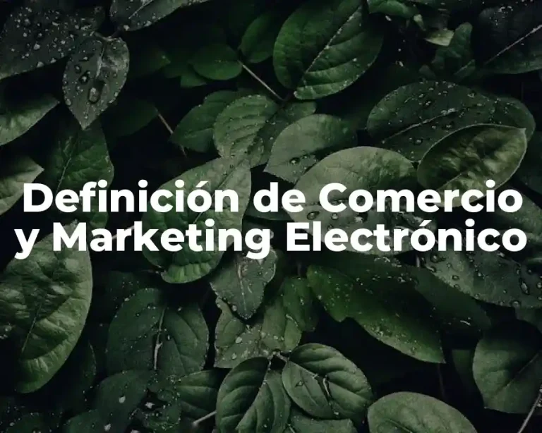 Definición de Comercio y Marketing Electrónico