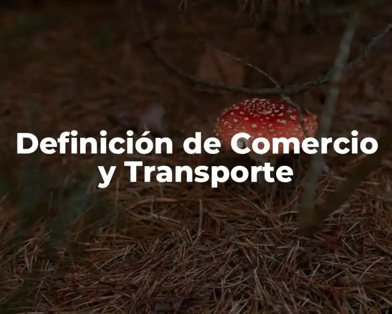 Definición de Comercio y Transporte