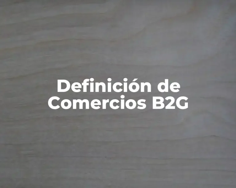 Definición de Comercios B2G