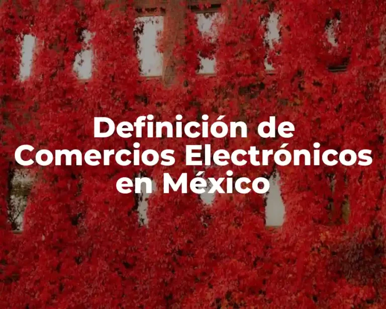 Definición de Comercios Electrónicos en México