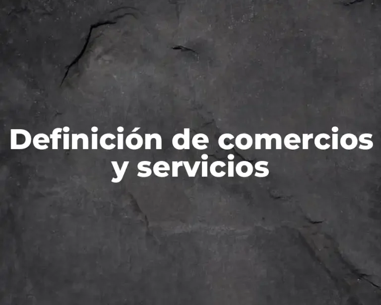 Definición de comercios y servicios