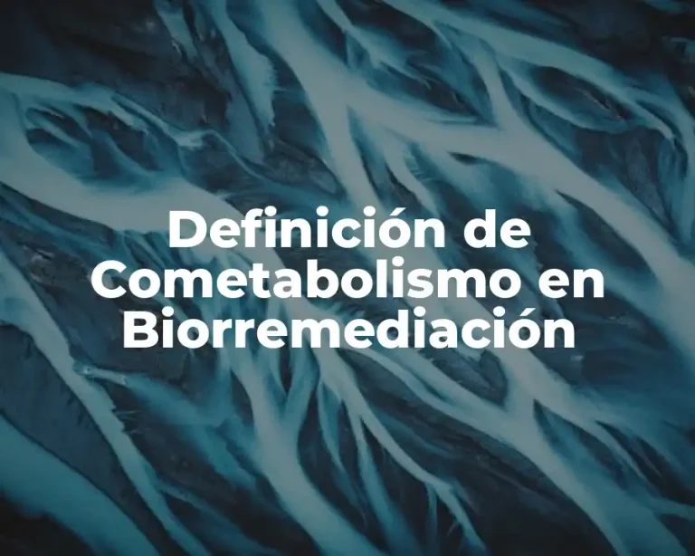 Definición de Cometabolismo en Biorremediación