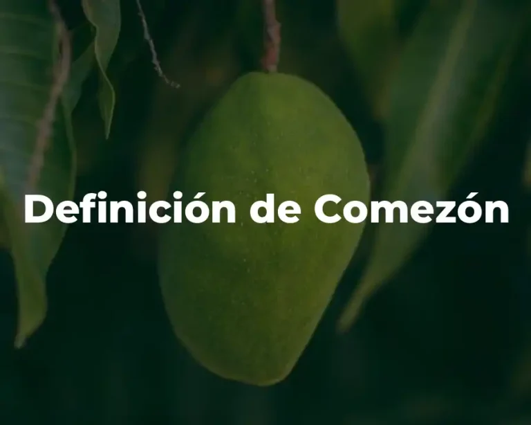 Definición de Comezón