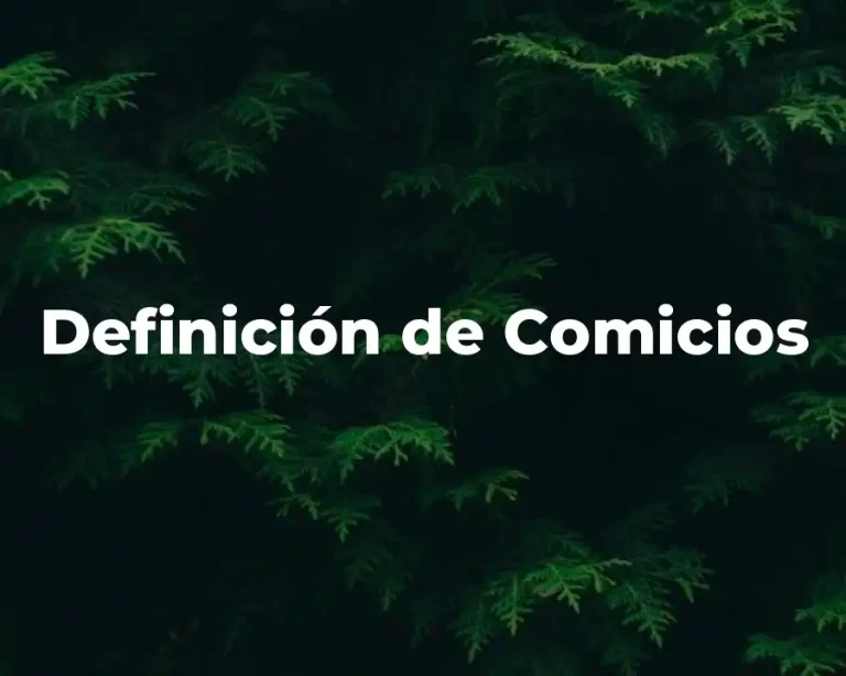 Definición de Comicios