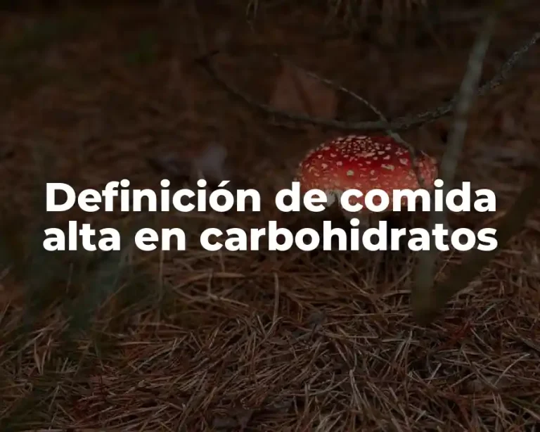 Definición de comida alta en carbohidratos