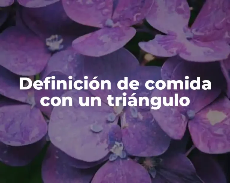 Definición de comida con un triángulo