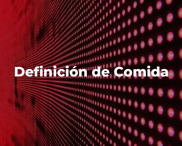 Definición de Comida