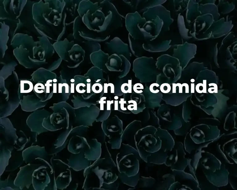 Definición de comida frita