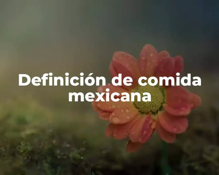 Definición de comida mexicana