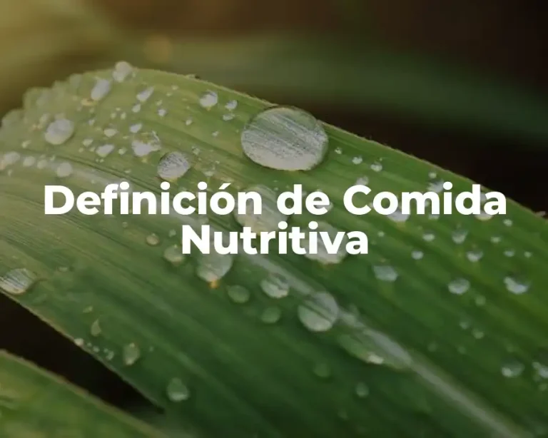 Definición de Comida Nutritiva