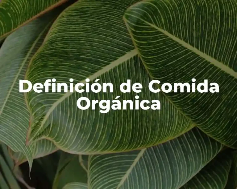 Definición de Comida Orgánica