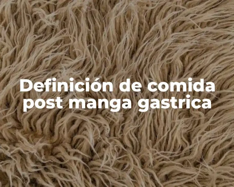 Definición de comida post manga gastrica